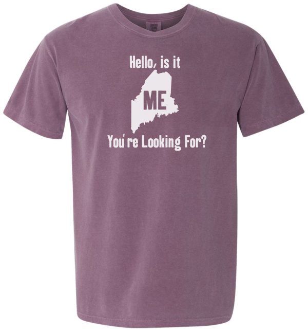 Hello, Is It ME You're Looking For? T-shirt - Image 3