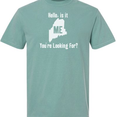 Hello, Is It ME You're Looking For? T-shirt
