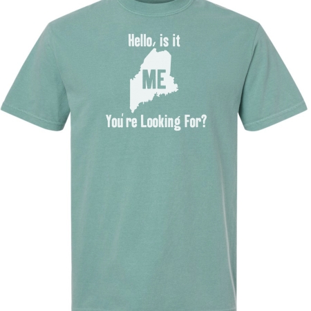 Hello, Is It ME You’re Looking For? T-shirt